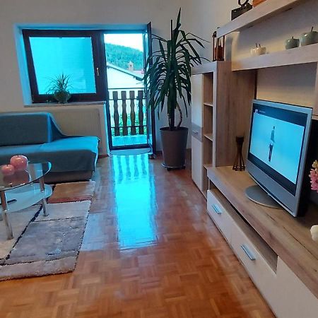 Apartma Pr' Ivani Miskorinovi Breginj Exterior photo