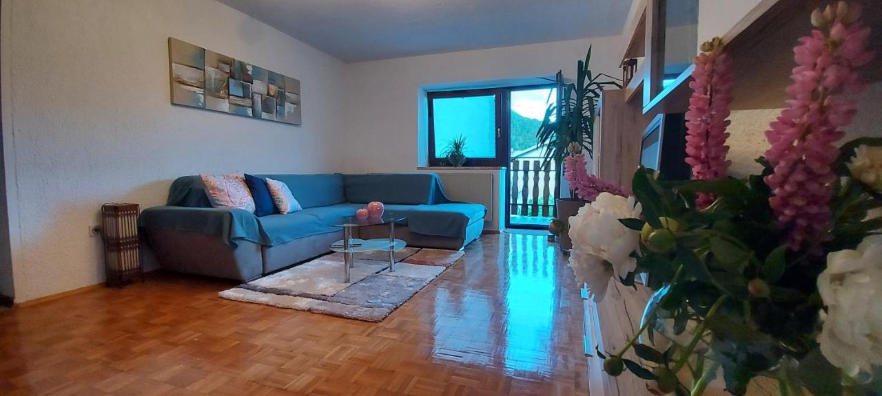 Apartma Pr' Ivani Miskorinovi Breginj Exterior photo